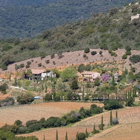 Bel Appart Style Vintage Vue Mer La Londe-les-Maures Bagian luar foto
