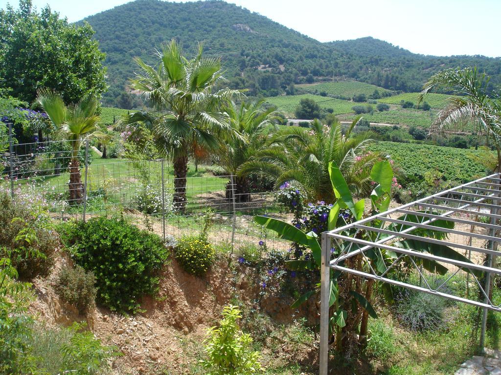 Bel Appart Style Vintage Vue Mer La Londe-les-Maures Ruang foto