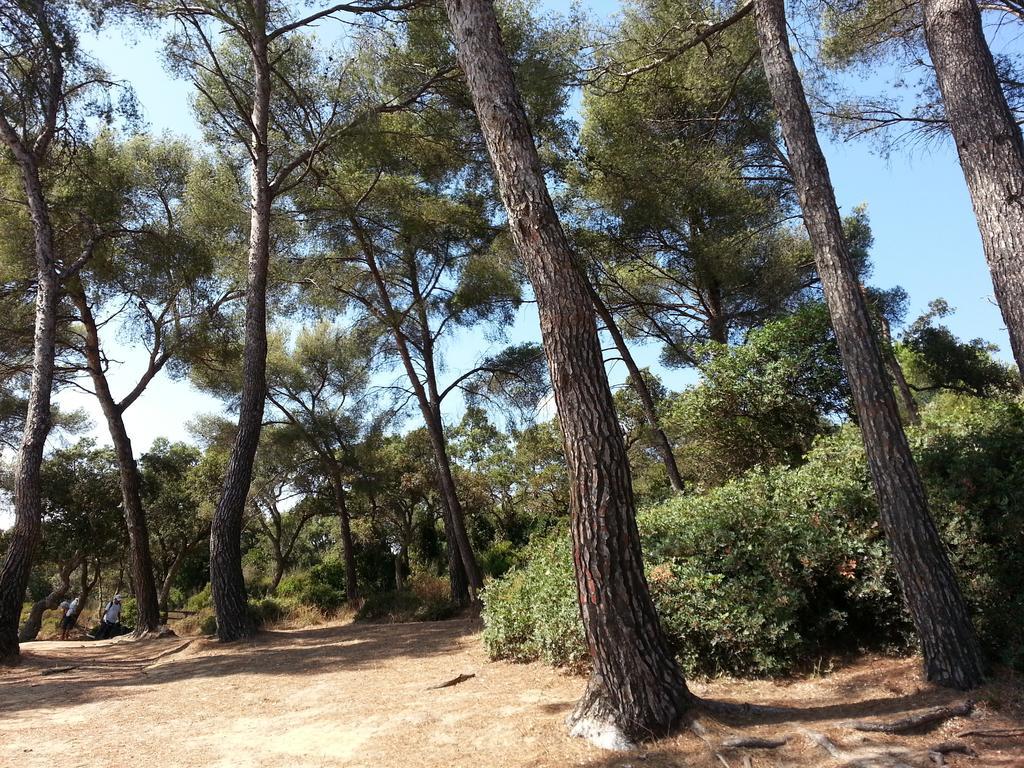 Bel Appart Style Vintage Vue Mer La Londe-les-Maures Ruang foto