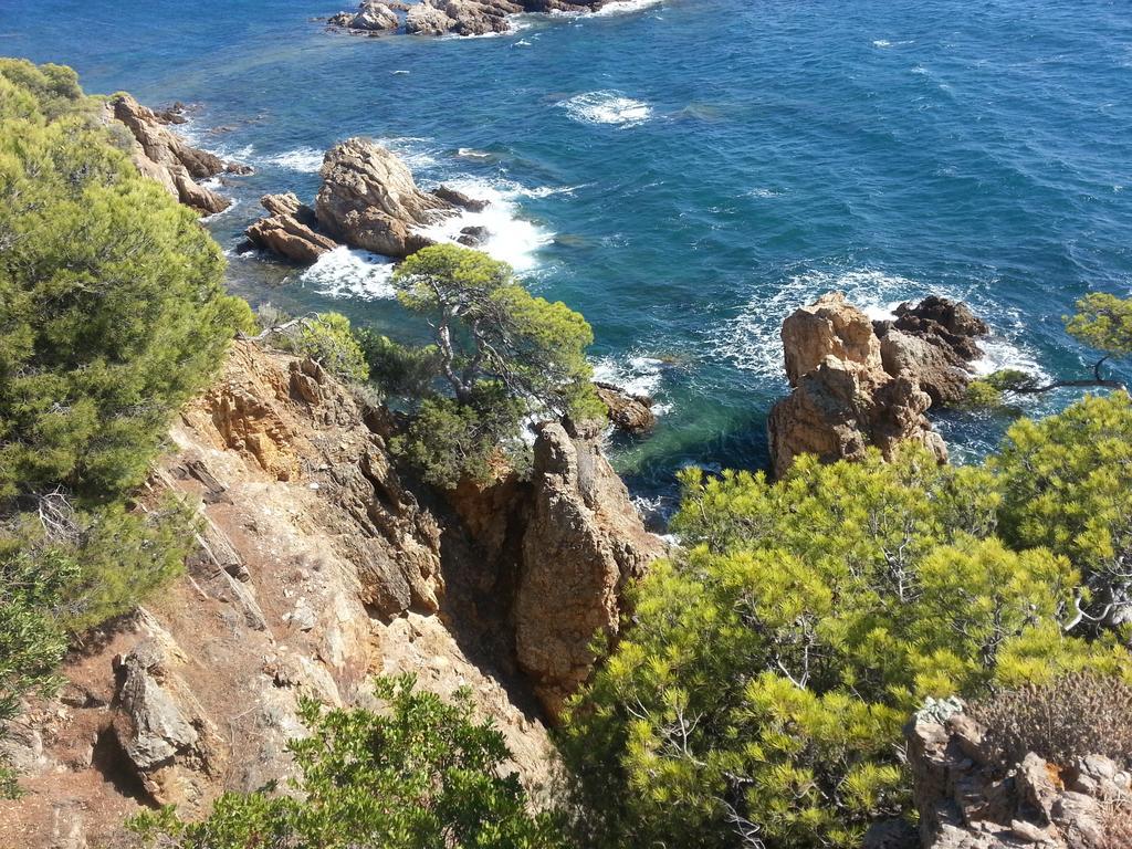 Bel Appart Style Vintage Vue Mer La Londe-les-Maures Bagian luar foto