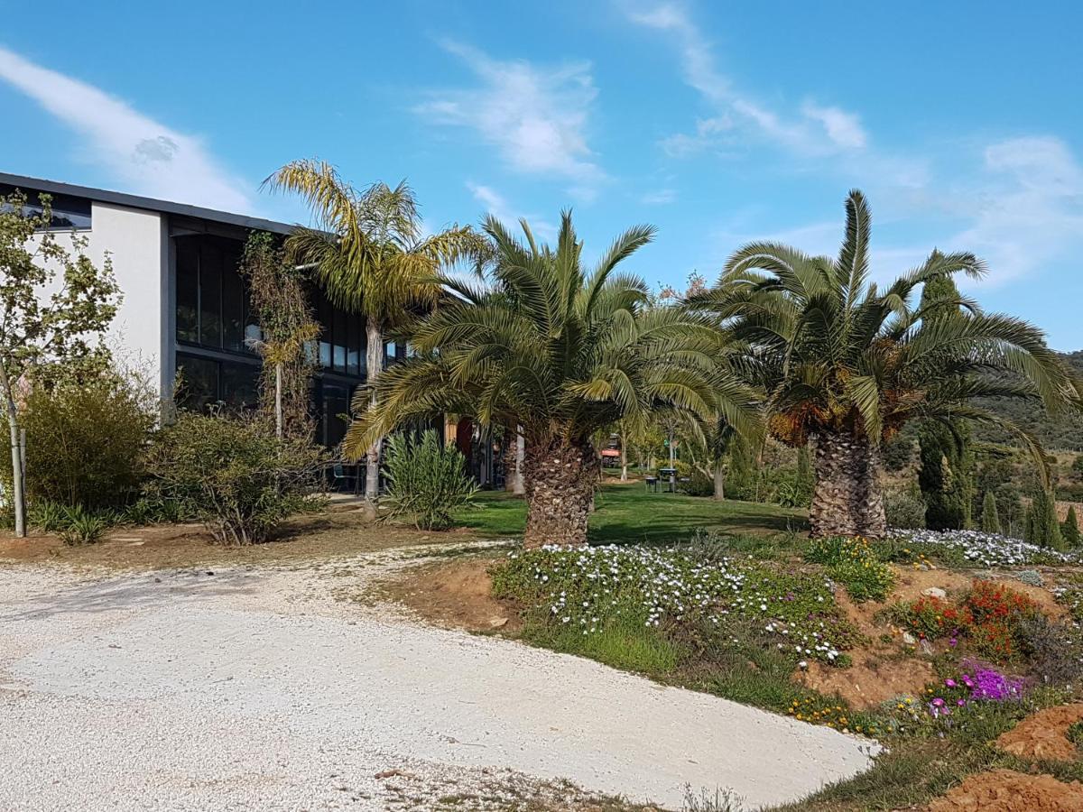 Bel Appart Style Vintage Vue Mer La Londe-les-Maures Bagian luar foto